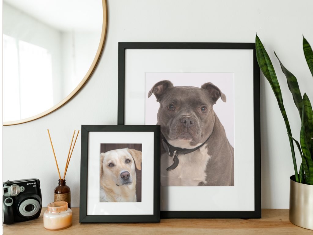 Frames-Mockup-Horizontal Frames Mockup Horizontal