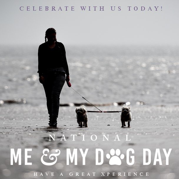 Beautiful moment captured with dogs on the beach in the Scottish Borders. Perfect for wedding and event photography.