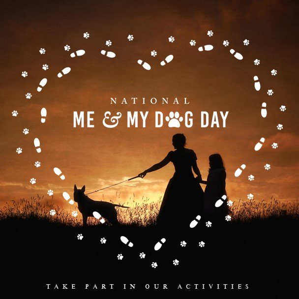 Dog walking silhouette during sunset in the Scottish Borders, capturing special moments with pets.