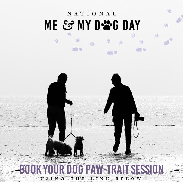 Dog and owner walking on the beach, professional pet and owner photoshoot, Welsh Border Collie, outdoor dog portrait session, GW Photography.